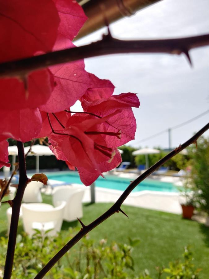 Natur Hotel Tanca คาร์เตดู ภายนอก รูปภาพ