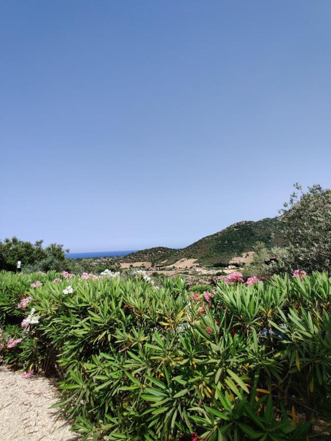 Natur Hotel Tanca คาร์เตดู ภายนอก รูปภาพ